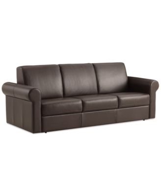 Furniture - Leather Sleeper Sofa