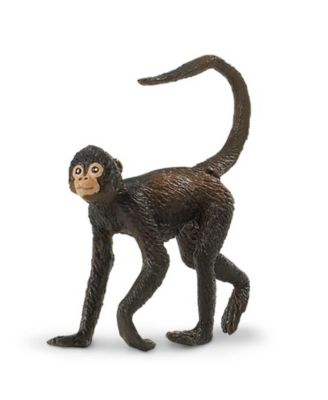 Safari Ltd