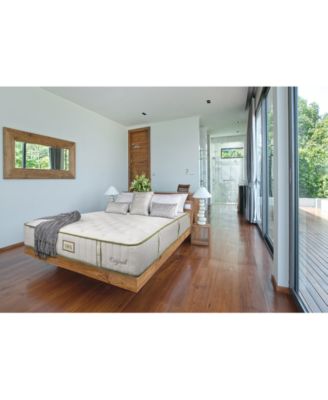 Paramount - Nature Spa Exhale 2.0 13" Plush Mattress Set-Queen Split