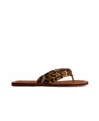 Bernardo Footwear