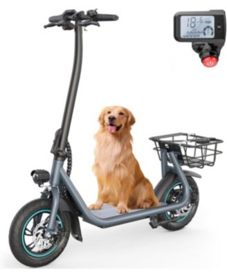 Urbanmax