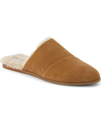 TOMS