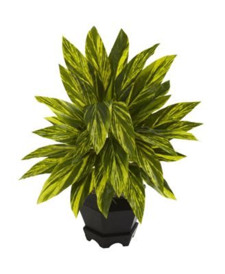 Nearly Natural - Ginger Plant w/ Black Planter