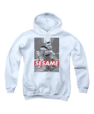 Sesame Street