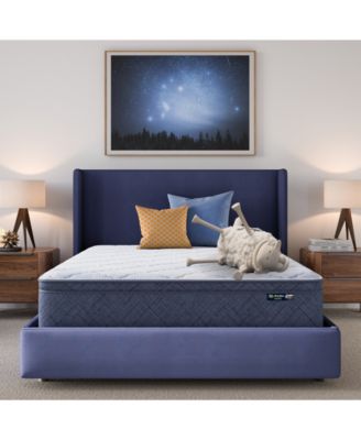 Serta - Dream Haven 12" Plush Pillow Top Mattress in a Box - Twin XL