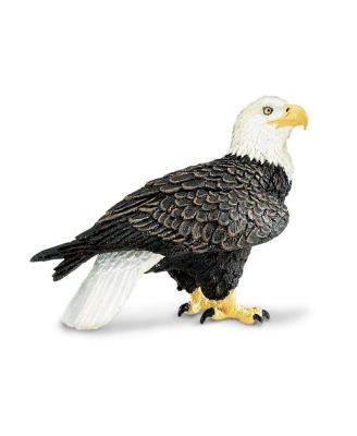 Safari Ltd