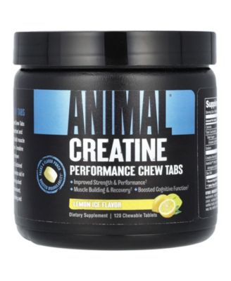 Animal