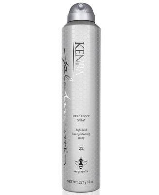 Kenra Professional - Heat Block Spray 22