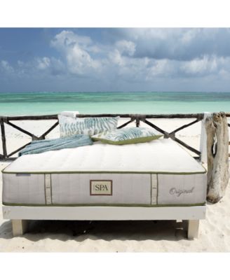 Paramount - Nature Spa Celestial 2.0 11" Extra Firm Mattress Set-Twin