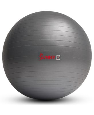 Sunny Health & Fitness