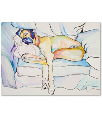 Trademark Global - Pat Saunders-White 'Sleeping Beauty' 26" x 32" Canvas Wall Art