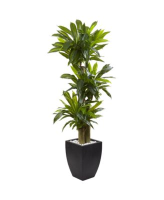 Nearly Natural - 5.5' Corn Stalk Dracaena Artificial Plant in Black-Washed Planter
