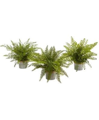 Nearly Natural - 14'' Assorted Ferns with Planter Artificial Plant, Set of 3