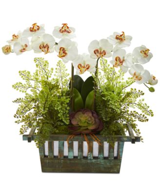 Nearly Natural - Orchid, Succulent & Maidenhair Fern Artificial Arrangement