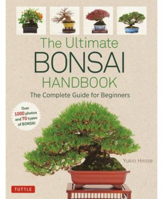Barnes & Noble