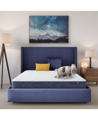 Serta - Dream Haven 8" Medium Tight Top Mattress in a Box - Twin XL