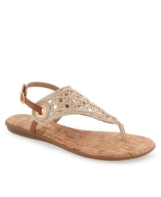 Aerosoles